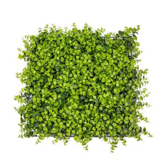 Pannell Aħdar Artifiċjali tal-Boxwood Mat Panel