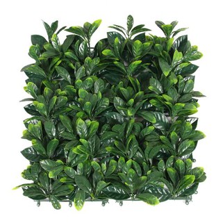 Ħajt artifiċjali tal-kaxxa