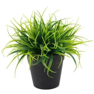 Disinni Kreattivi tal-Fjuri tas-Siment dekorattivi Diy