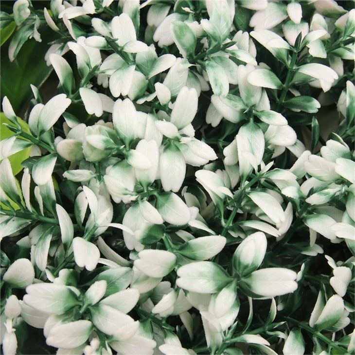 Hot-selling Boxwood Panel